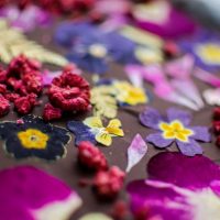 Floral-Brownies_Christmas_Raspberry-Swirl_3-Copy